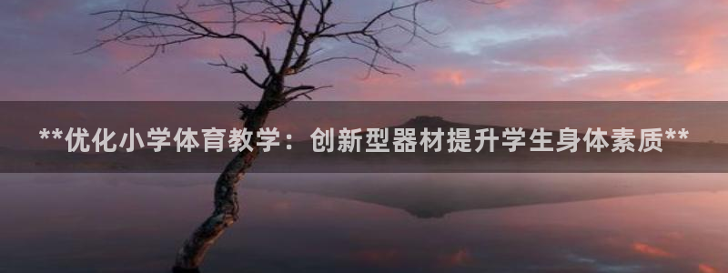 极悦平台是干嘛的:**优化小学体育教学:创新型器材提升学生身