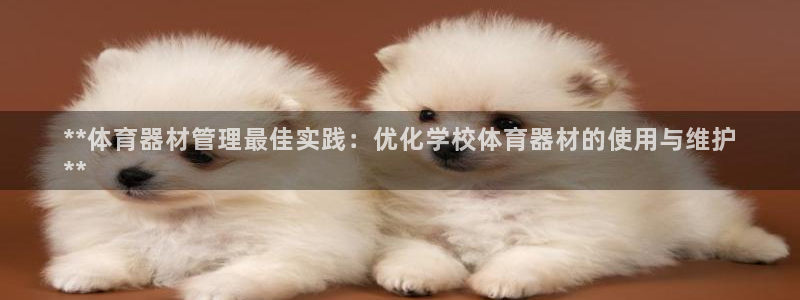 极悦娱乐的背景和历史背景介绍:**体育器材管理最佳实践:优化
