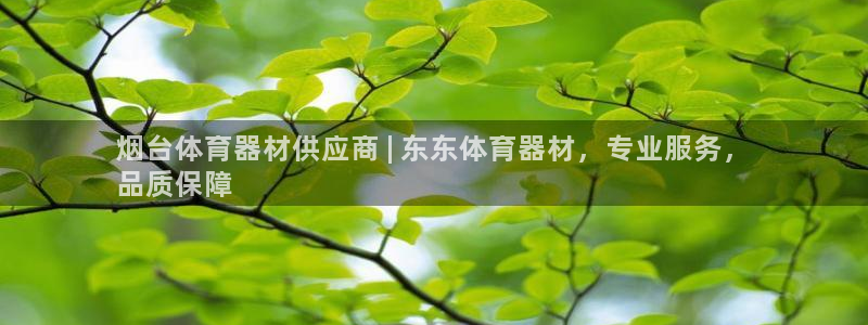 极悦平台与网易合作详情:烟台体育器材供应商 | 东东体育器材