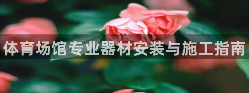 极悦平台注册用户名格式:体育场馆专业器材安装与施工指南