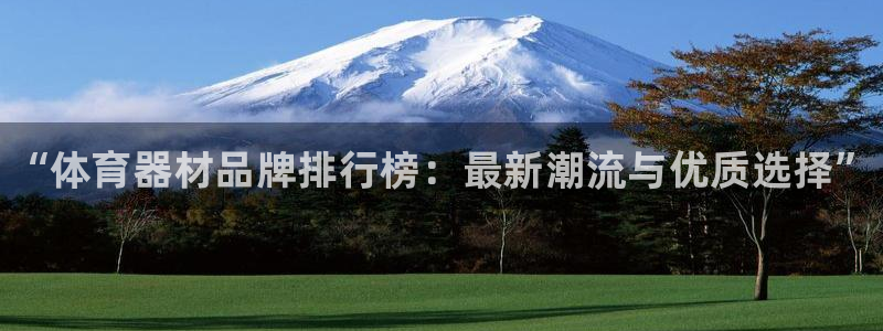 极悦平台注册流程图片:“体育器材品牌排行榜:最新潮流与优质选